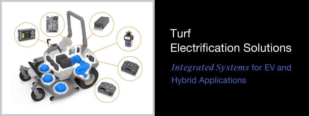 High Class 36V 100A DC Contactor Spi-Sw80 for Heli/Baoli/Zhongli Electrical Forklifts